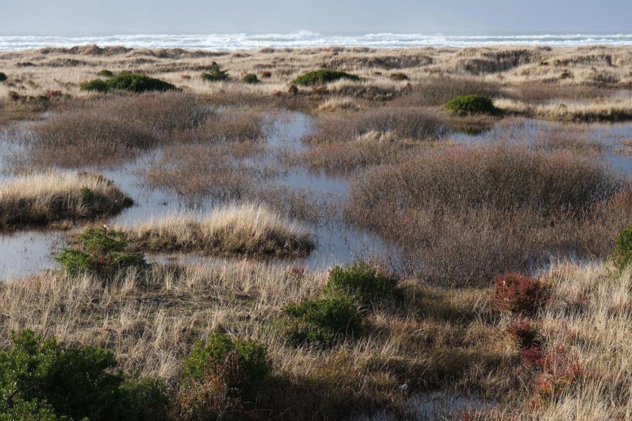 Tidal House #4 - Ocean Shores Chalet エクステリア 写真