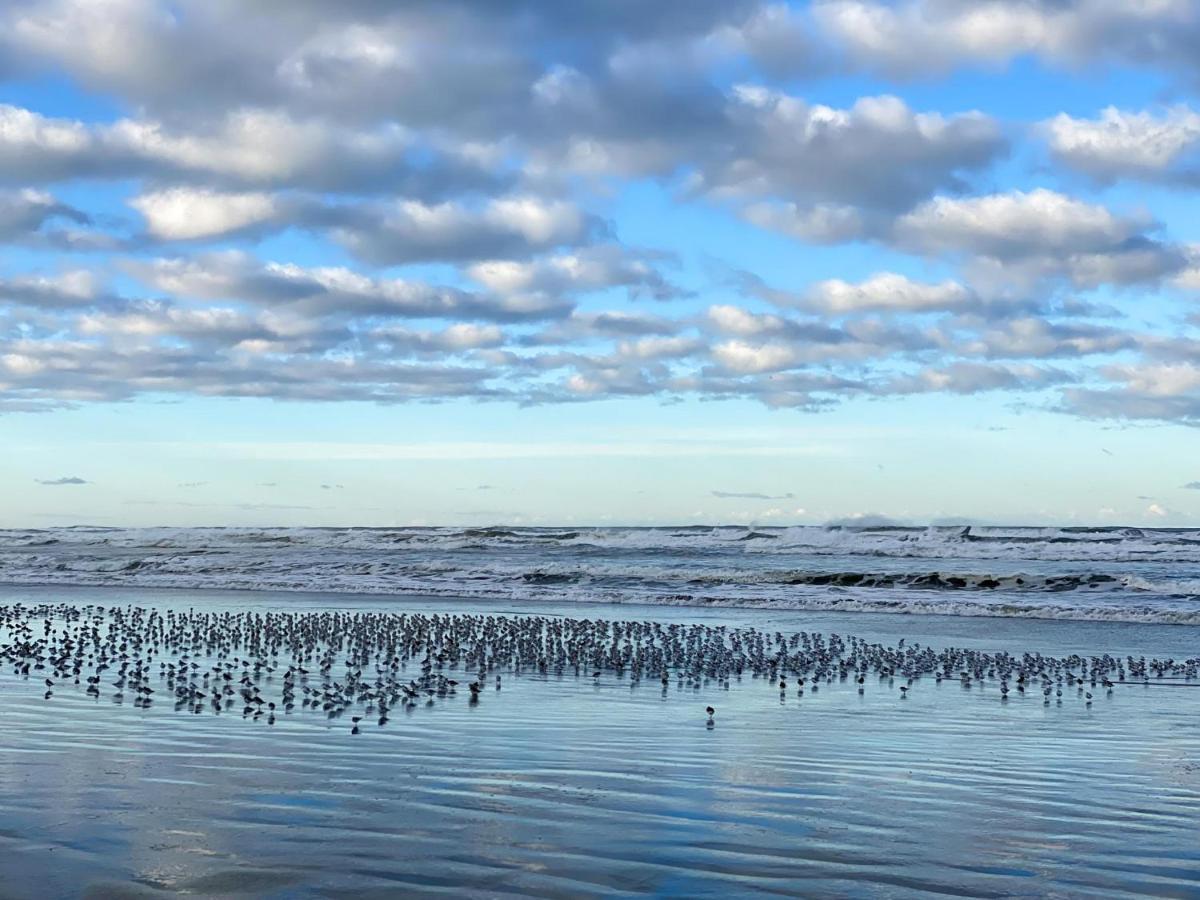 Tidal House #4 - Ocean Shores Chalet エクステリア 写真